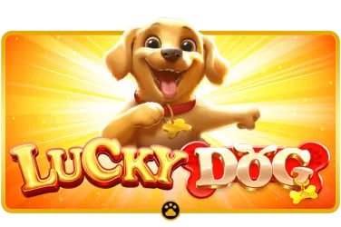 slitgame Live Casino Slots